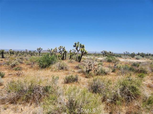 Llano, CA 93544,0 Ave X6 212 Street