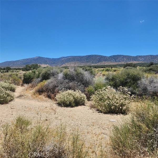 0 E Ave Z, Llano, CA 93544