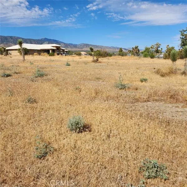 Pinon Hills, CA 92372,0 Arena Road