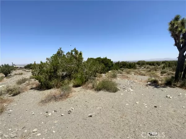 Pinon Hills, CA 92372,0 Phelan Road