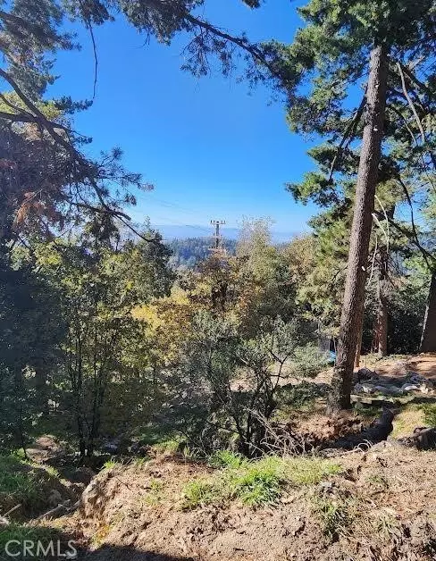 Twin Peaks, CA 92391,900 Lo Lane