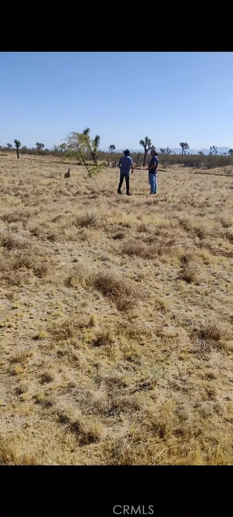 Phelan, CA 92371,6800 South Street