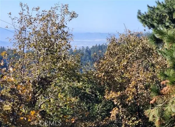 Twin Peaks, CA 92391,900 Lo Lane