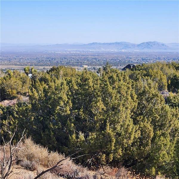 0 Hollister, Pinon Hills, CA 92372