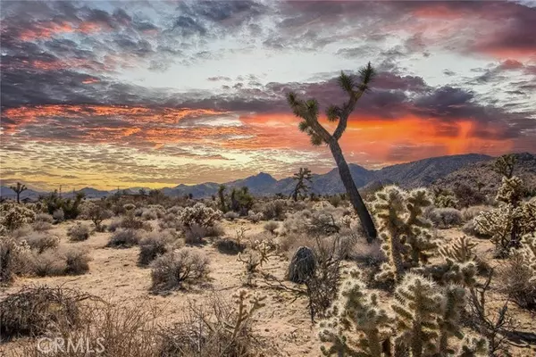 Joshua Tree, CA 92252,0 Onaga Trail