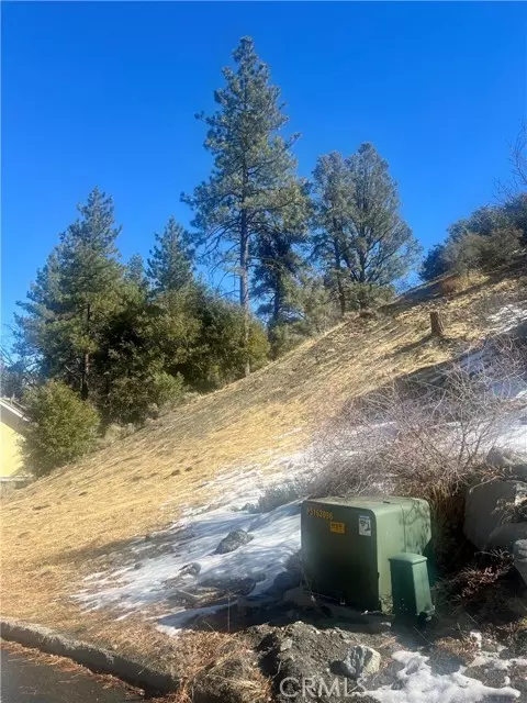 Wrightwood, CA 92397,5411 Shirley J Lane