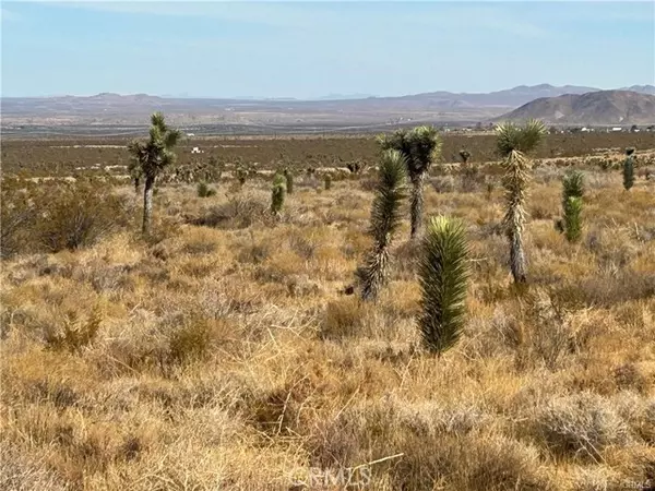 Llano, CA 93544,8 Fort Tejon Road