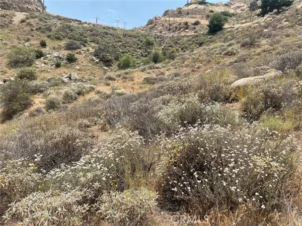 Moreno Valley, CA 92557,0 Sage