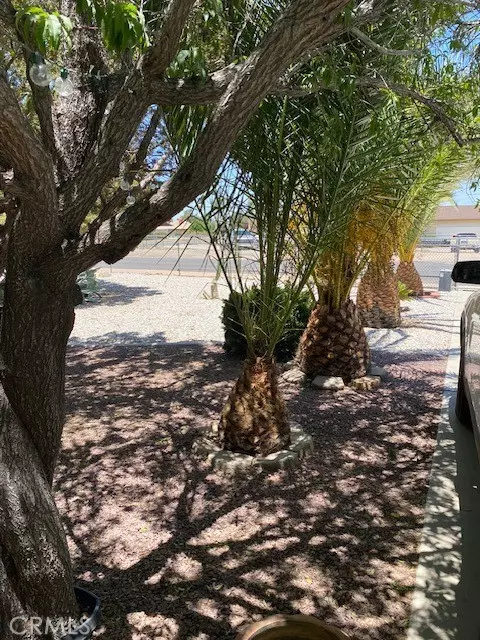 Hesperia, CA 92345,15805 Muscatel Street