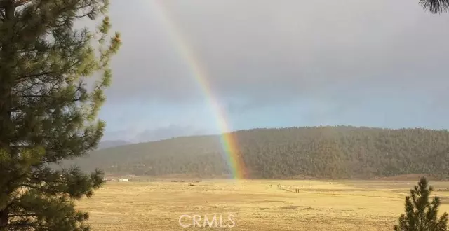 2809 Cedar Lane, Big Bear City, CA 92314