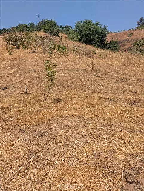 Los Angeles, CA 90031,3104 Lincoln Park Avenue