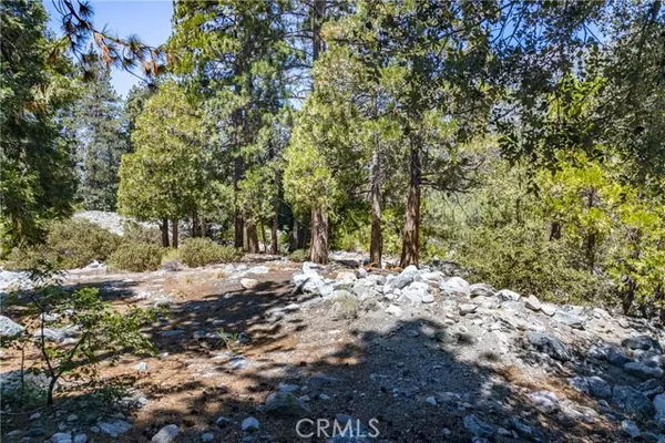 Forest Falls, CA 92339,0 Quercus Drive