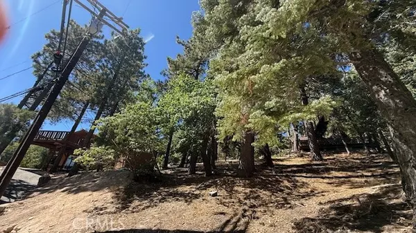 Green Valley Lake, CA 92341,33112 Juniper Lane