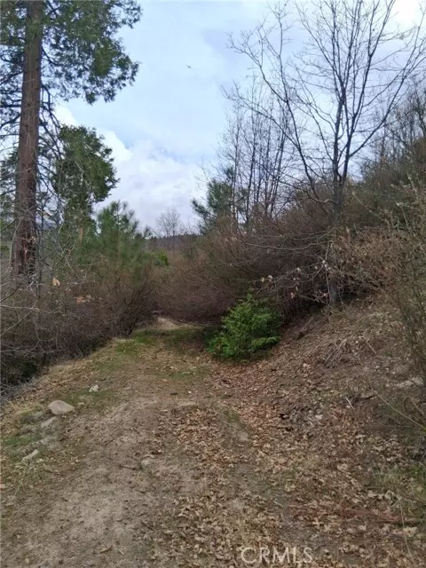 Cedar Glen, CA 92321,0 Pine Drive