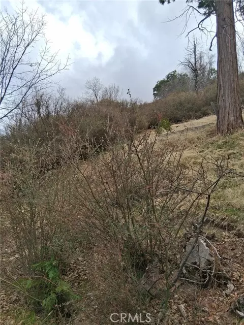 Cedar Glen, CA 92321,0 Pine Drive