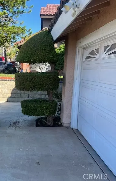 Moreno Valley, CA 92557,12124 Champlain Street