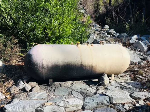 Mt Baldy, CA 91759,6653 Bear Canyon Drive