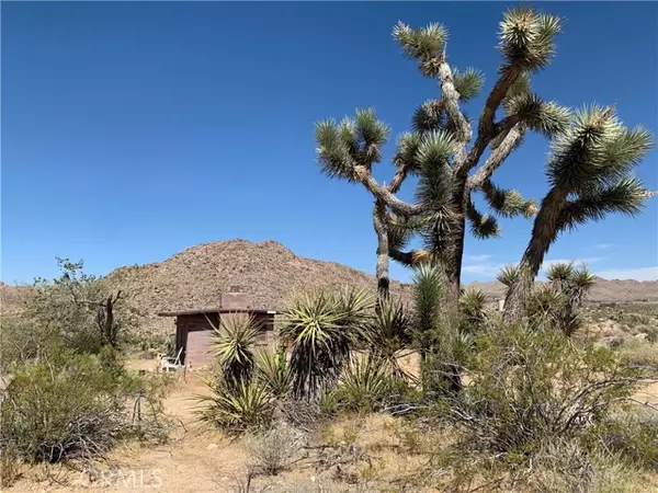 8249 Via Rocosa Road, Joshua Tree, CA 92252