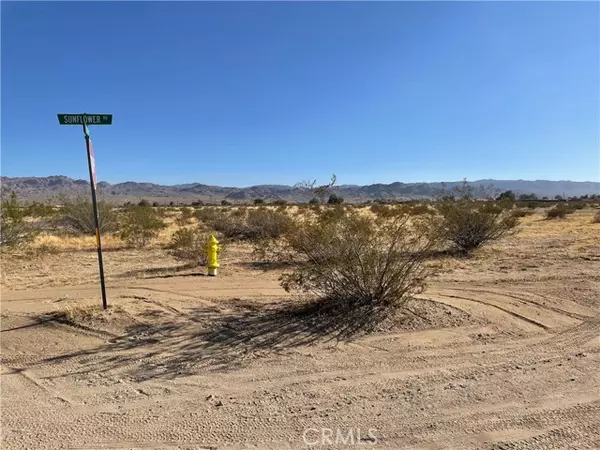 6 Sunflower Rd, Joshua Tree, CA 92252