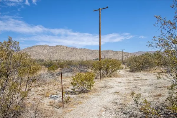 Morongo Valley, CA 92256,50253 Twentynine Palms Highway