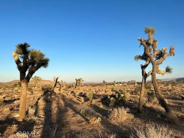 Yucca Valley, CA 92284,2801 Avalon Avenue