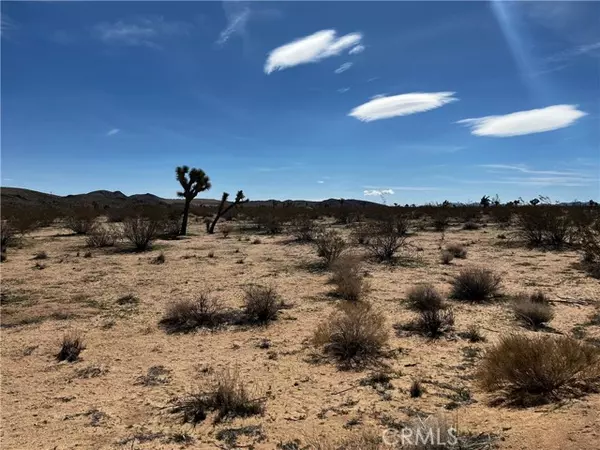 Landers, CA 92285,175 Rainbow Road