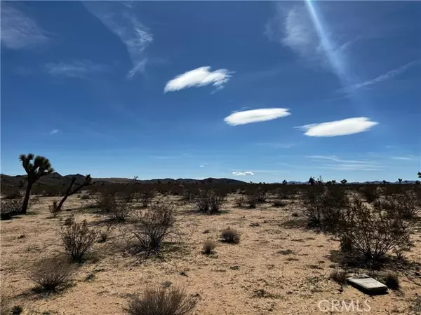 Landers, CA 92285,175 Rainbow Road