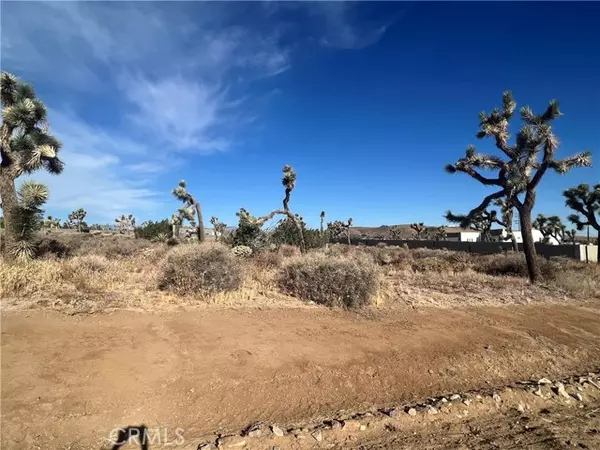 Yucca Valley, CA 92284,111 Wallaby