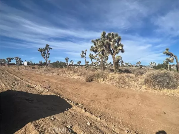 Yucca Valley, CA 92284,111 Wallaby