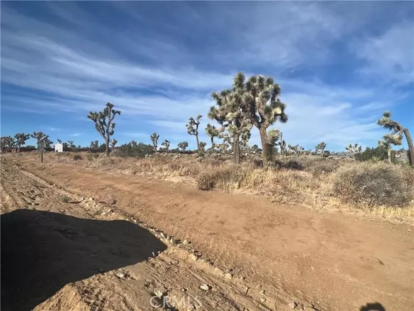 Yucca Valley, CA 92284,111 Wallaby