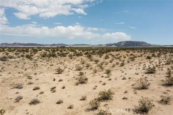 Joshua Tree, CA 92252,64532 Chollita Road