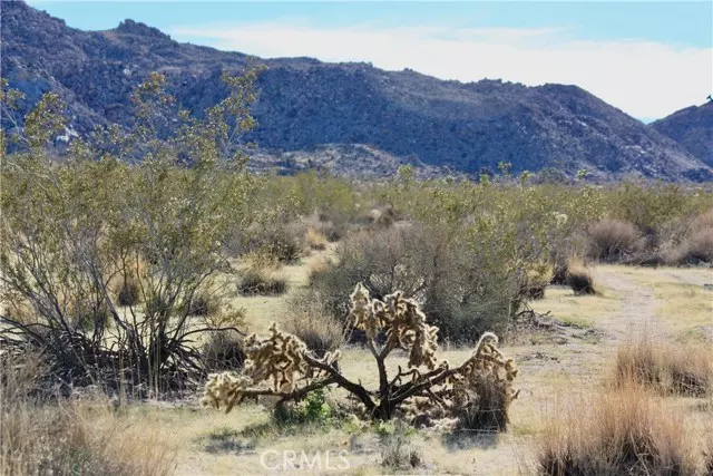 Joshua Tree, CA 92252,64755 Foothill Drive