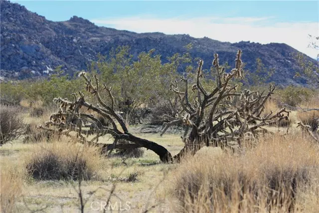 Joshua Tree, CA 92252,64647 Foothill Drive