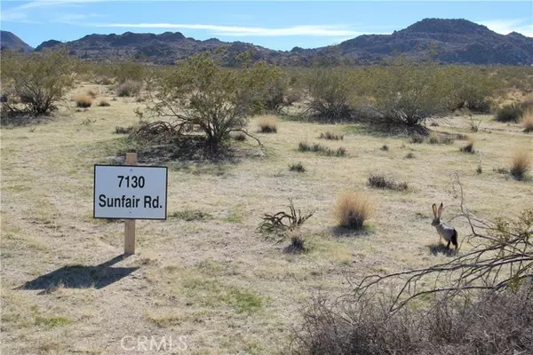 Joshua Tree, CA 92252,7130 Sunfair Road