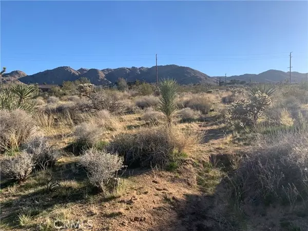 Joshua Tree, CA 92252,60300 Alta Mesa Drive