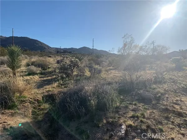 60300 Alta Mesa Drive, Joshua Tree, CA 92252