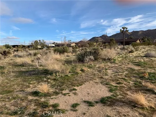 Joshua Tree, CA 92252,60300 Alta Mesa Drive