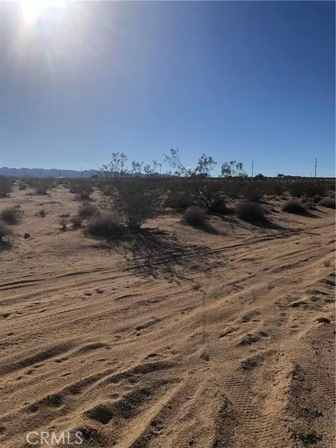 Twentynine Palms, CA 92277,71440 Palmyra