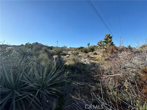 Yucca Valley, CA 92284,0 Buena Suerta Road