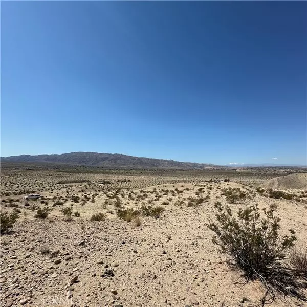 Twentynine Palms, CA 92277,1234 Buena Vista Drive