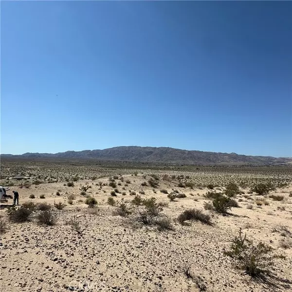 Twentynine Palms, CA 92277,1234 Buena Vista Drive