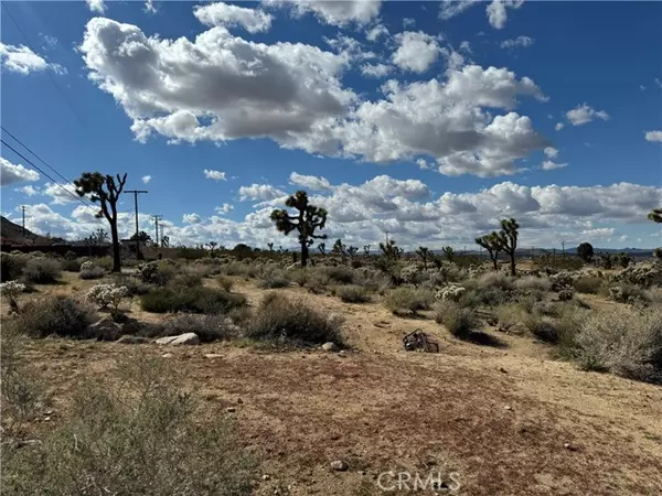 Joshua Tree, CA 92252,7654 Vista Road