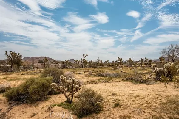 Joshua Tree, CA 92252,61329 Rocky Vista Street