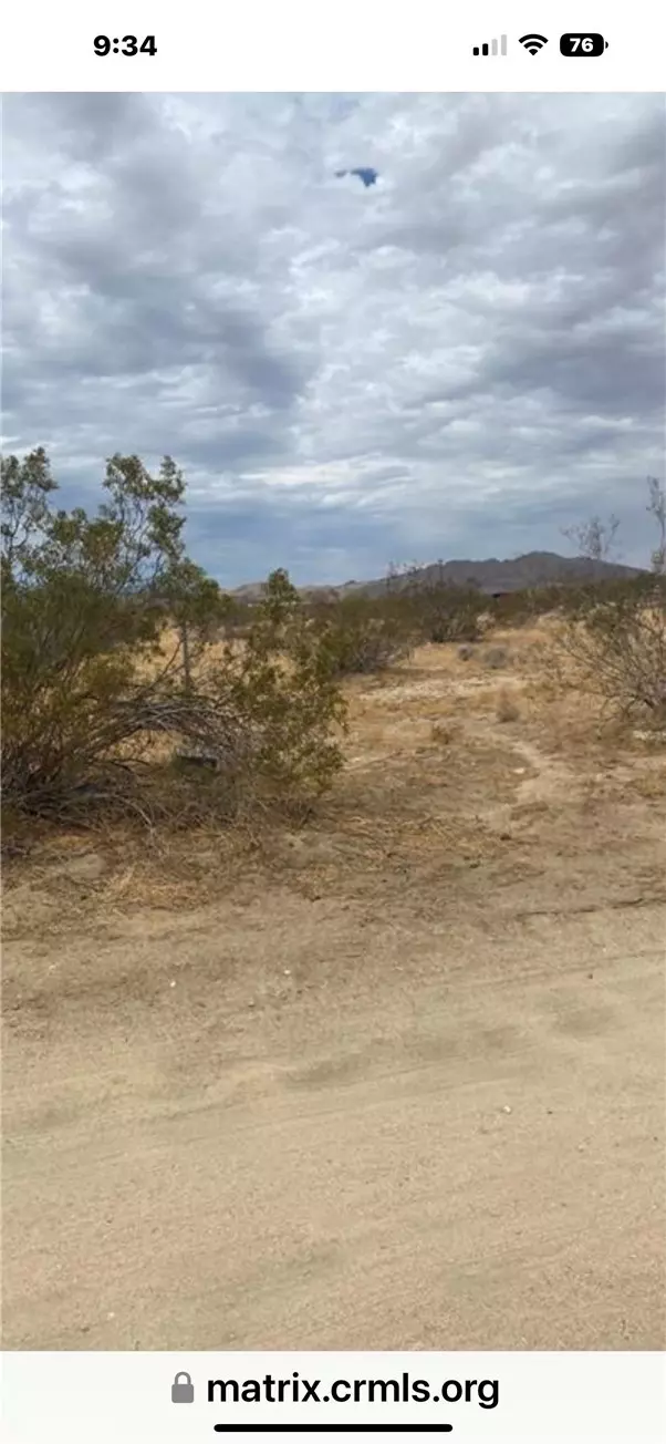 Joshua Tree, CA 92252,0 Laferney