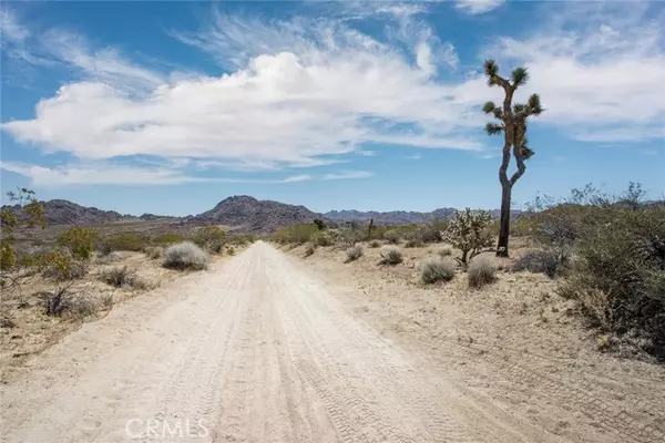 Joshua Tree, CA 92252,4444 Skyline Drive