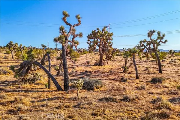 Joshua Tree, CA 92252,7645 La Contenta Road