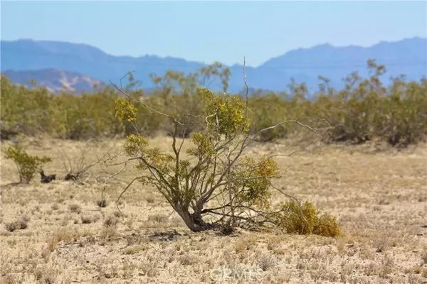 Twentynine Palms, CA 92277,0 Desert Queen Avenue