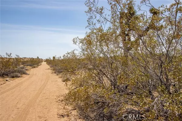 Joshua Tree, CA 92252,4444 Saddleback Drive