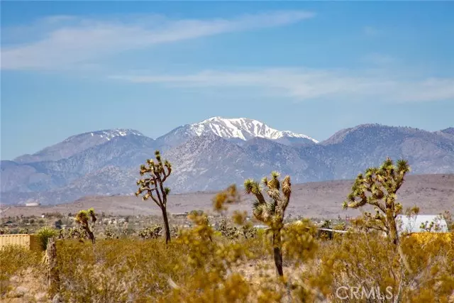 Joshua Tree, CA 92252,4444 Saddleback Drive