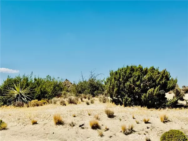 Yucca Valley, CA 92284,0 Cobalt Road